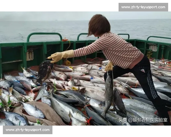 岱山海钓者意外发现：不同鱼类竟有独特 “语言”，百年渔谚暗藏声学密码